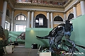 VBS_0999 - Dinosauri. Terra dei giganti